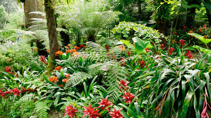 Italien, Insel Ischia Garten Mortella