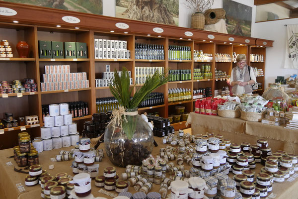 Mallorca Oliven Öl Plantage