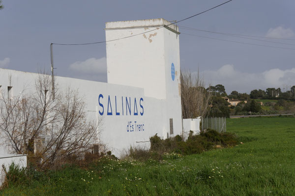 Salinen Es Trenc auf Mallorca