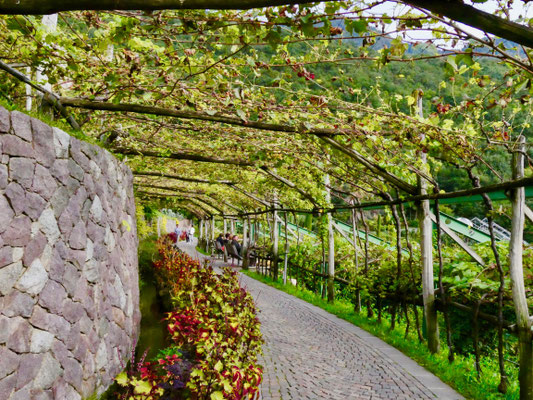Terrassengärten Schloss Trautmannsdorf Meran