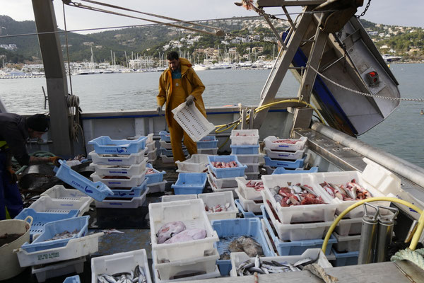 Puerto Soller Mallorca Fischerboote