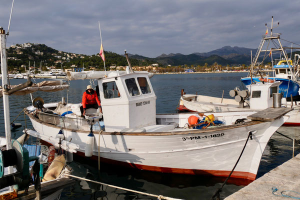 Puerto Soller Mallorca Fischer