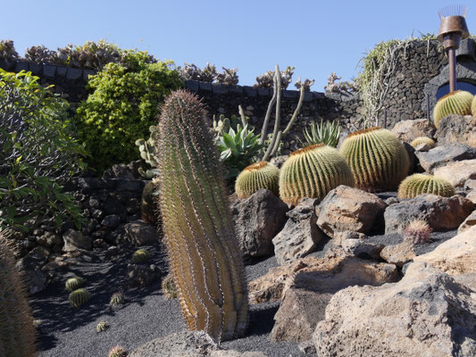 Kaktusgarten auf Lanzarote