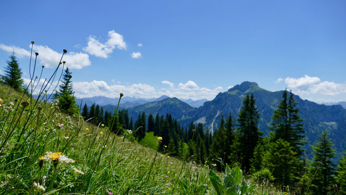 Allgäuer Alpen