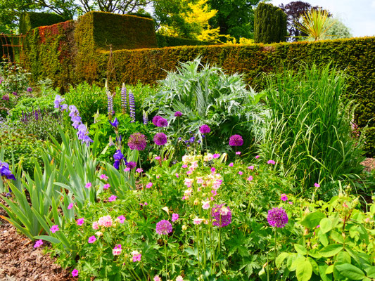 Eibenhecken und Longborders, die typisch englischen Blumenbeete Hole Park Gardens
