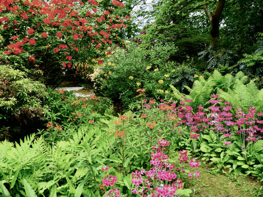 Gartenreise England Sehenswürdigkeiten Dottington Place and Gardens
