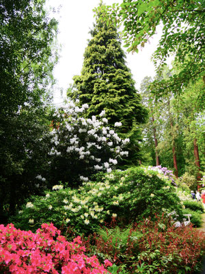 Gartenreise England Sehenswürdigkeiten Dottington Place and Gardens