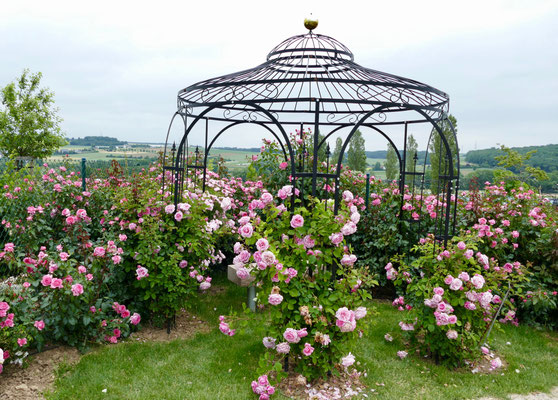 Rosenlaube