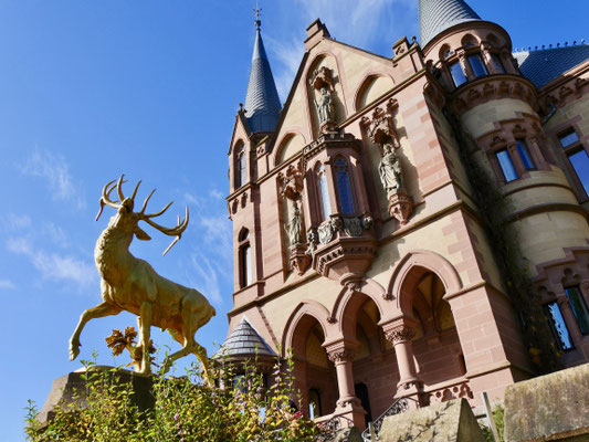 Schloss Drachenburg Sehenswürdigkeit Siebengebirge Königswinter am Rhein