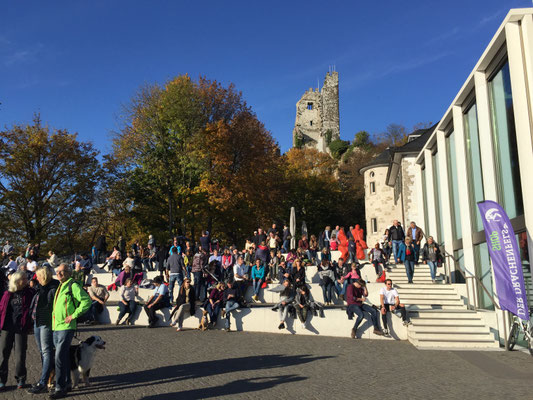Drachenfels Siebengebirge