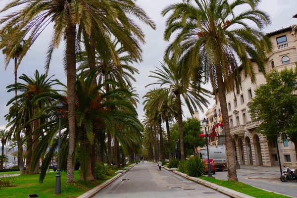 Altstadt Palma de Mallorca