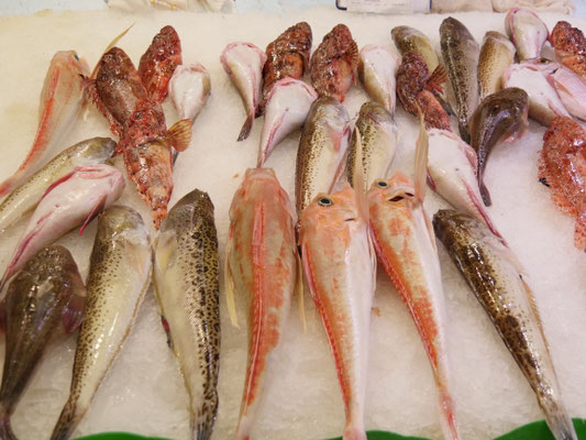 Markthalle Altstadt Palma de Mallorca
