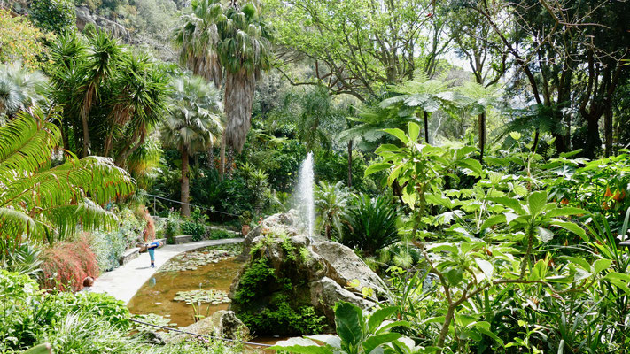 Insel Ischia, Garten Mortella