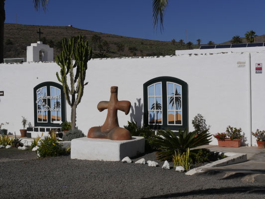 Lanzarote Kakteen