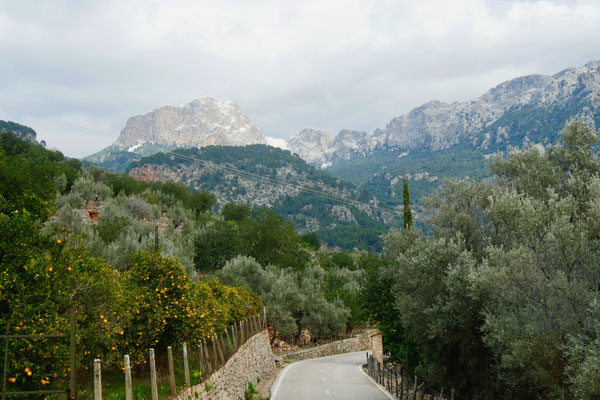 Impressionen Mallorca