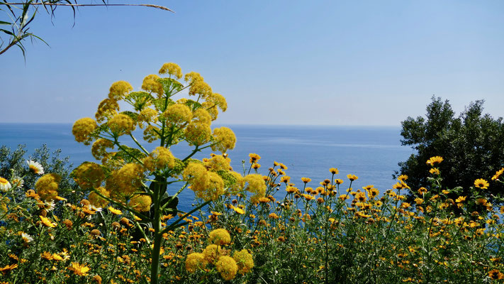 Italien