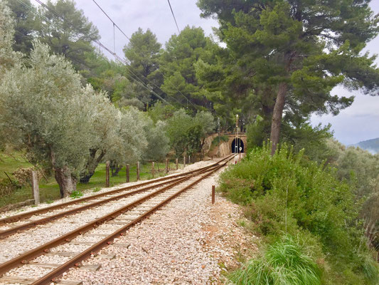 der Rote Blitz von Mallorca