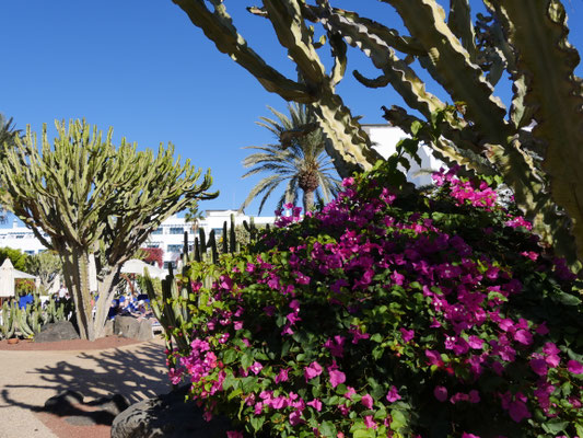 Hotelanlage Lanzarote