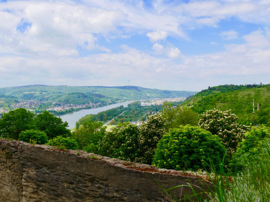 Blick von der Marksburg Braubach ins Rheintal