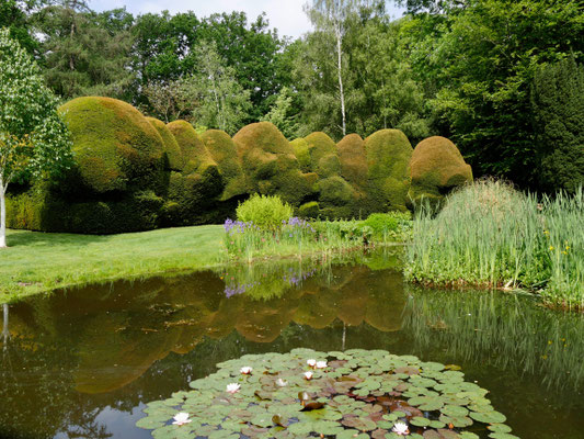 Gartenreise England Sehenswürdigkeiten Dottington Place and Gardens