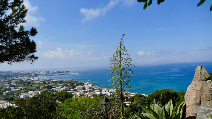 Insel Ischia Garten Mortella