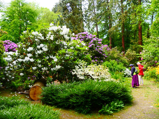 Gartenreise England Sehenswürdigkeiten Dottington Place and Gardens