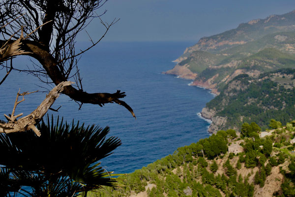 Impressionen Mallorca