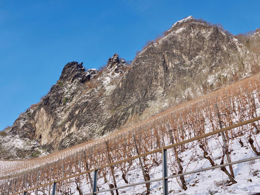 Drachenfels im Siebengebirge Weinberge