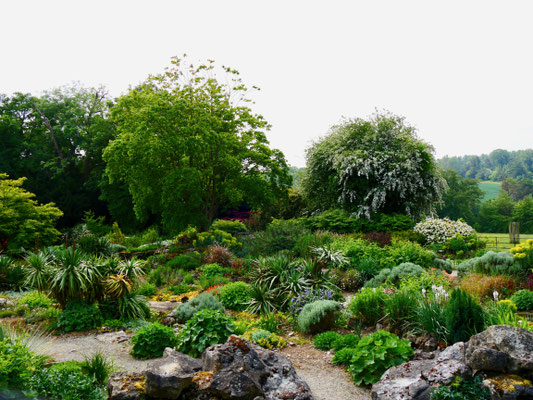 Gartenreise England Sehenswürdigkeiten Dottington Place and Gardens