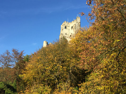 Drachenfels Siebengebirge
