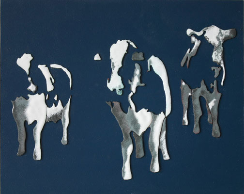 24,5x30,5 koeien