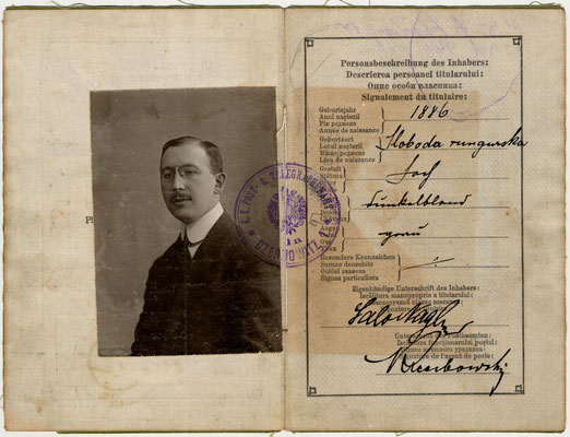 Carta d’identita Salo 1913