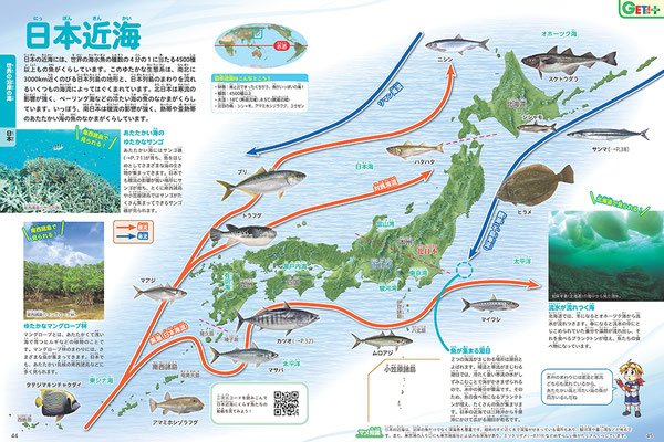KADOKAWA「魚」図鑑・第３章　日本近海／Photoshop