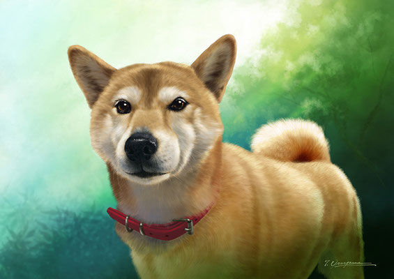 個展「柴犬」／Photoshop