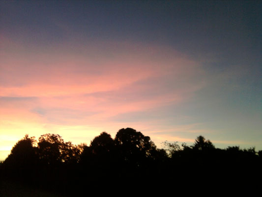 Ciel du jardin
