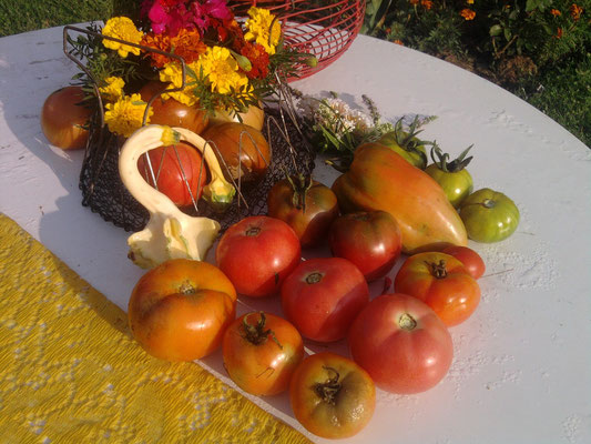 Les légumes sous toutes leurs formes