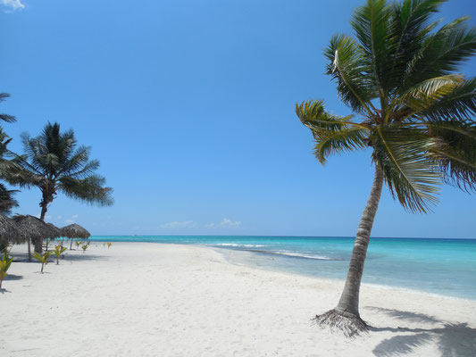 Isla Saona Dominikanische Republik
