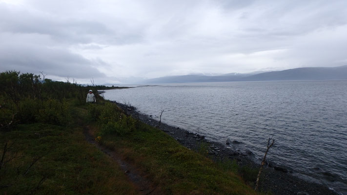 Bild: Abisko Nationalpark