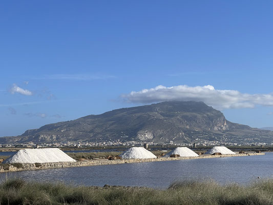 Saline Culcasi