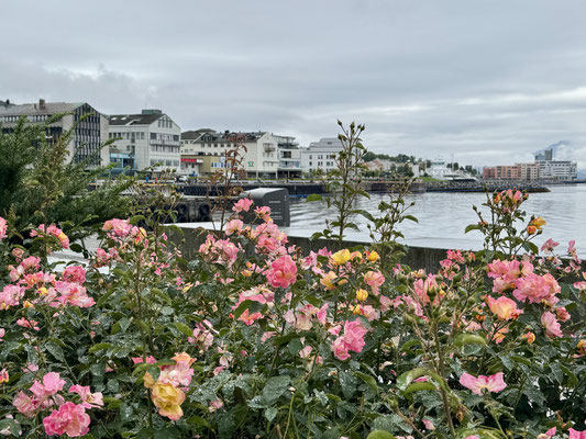 Bild: Molde