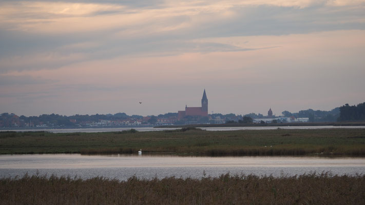 Blick über den Bodden nach Barth mit Kirche