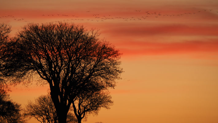 Sonnenaufgang Sæby