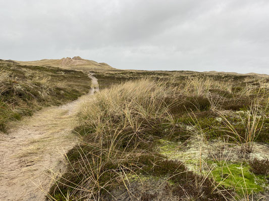 Bild: Nationalpark Thy