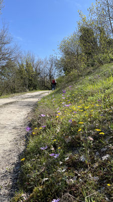 Wanderung Vena del Gesso