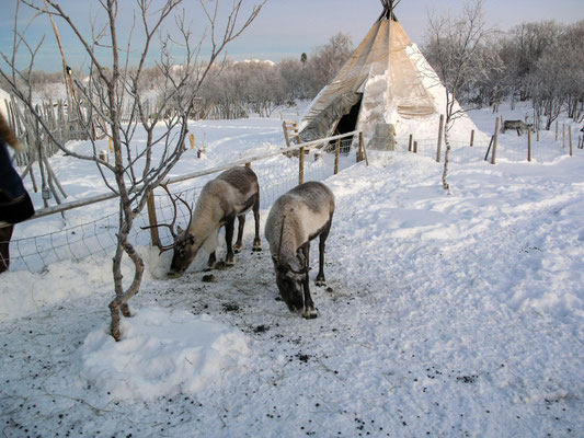 Bild: Snow Hotel - Foto 2