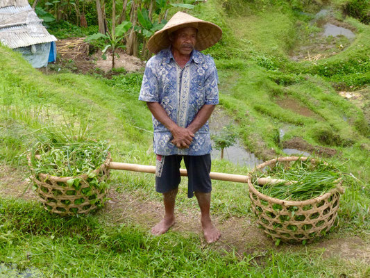 Bild: Balinese