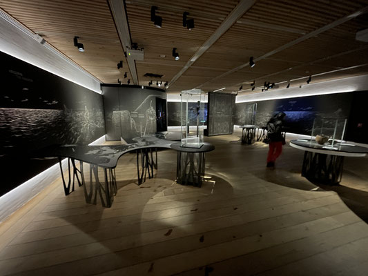 Museum Kongernes Jelling