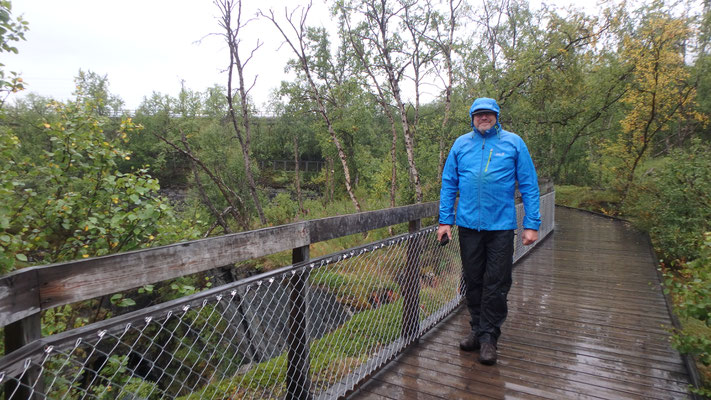 Bild: Abisko Nationalpark im Regen