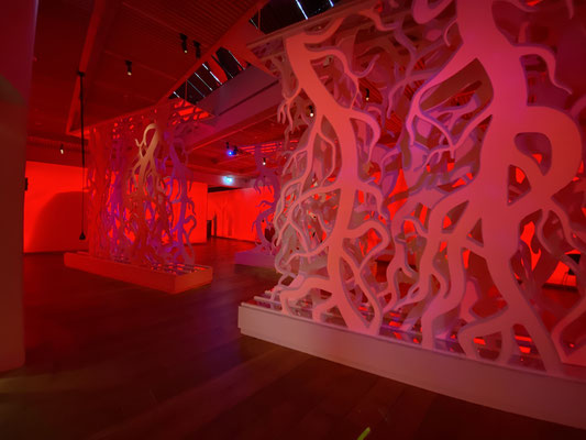 Museum Kongernes Jelling