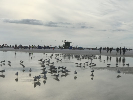 Bild: Auf dem Weg zu Strand und Meer muss man erst einmal durch flaches Wasser